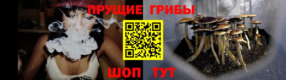 Псилоцибиновые грибы MAGIC MUSHROOMS  Вход с VPN  Балаково 