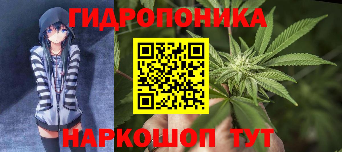 Конопля тримм  Бошки марихуана планчик  Шишки марихуана LSD WEED  Балаково  Вход с VPN  Бошки Шишки сатива 