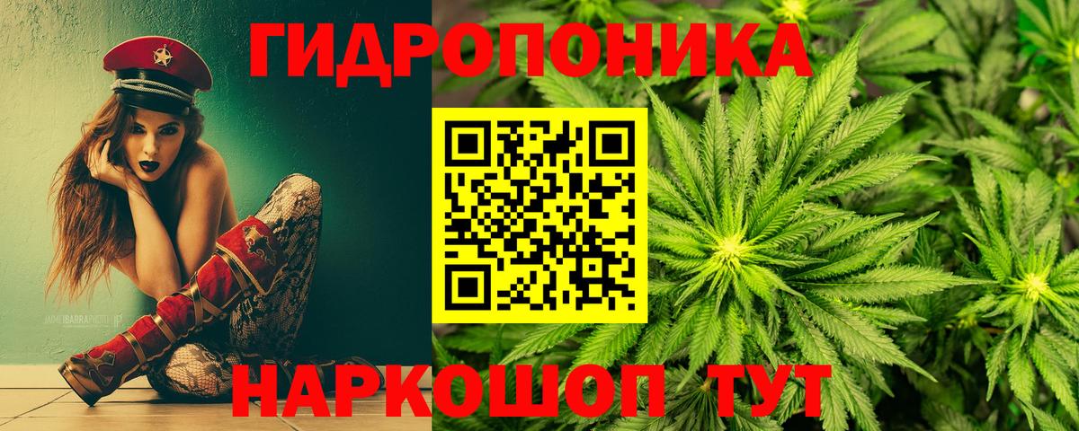 Конопля Ganja Балаково